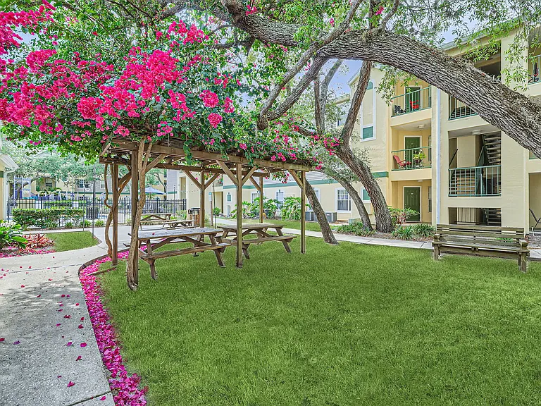 Golden Oaks — Photo 4