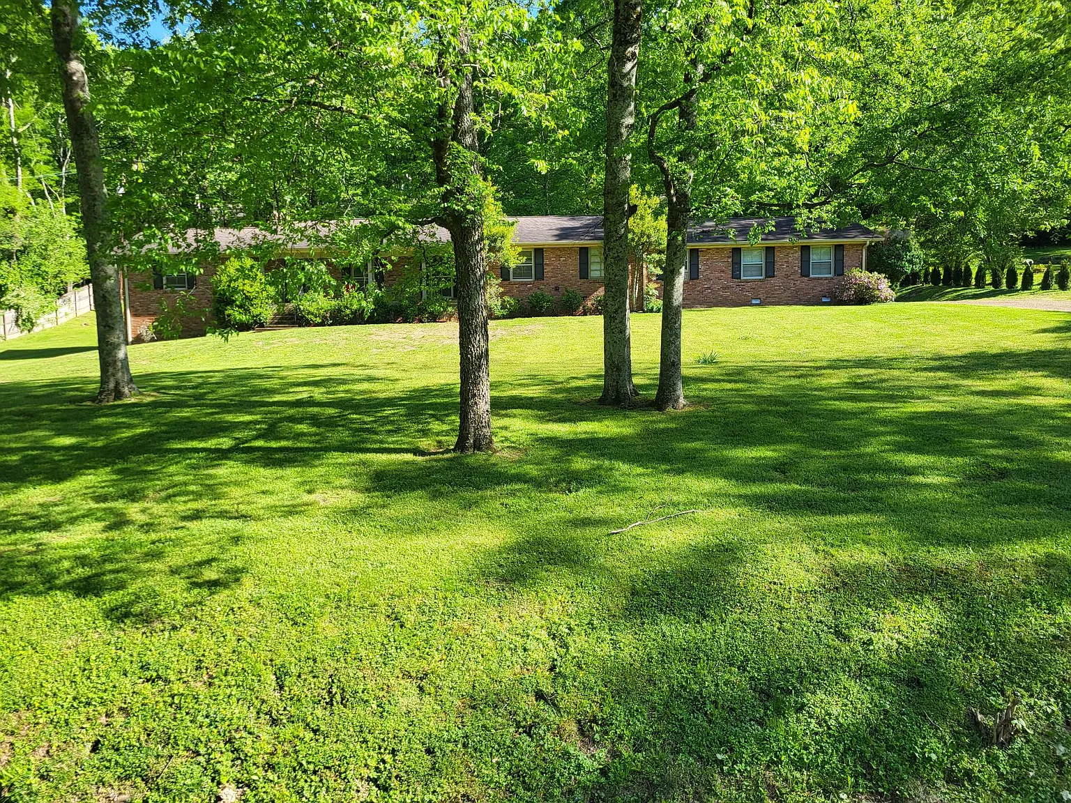 2 bed, 1000 sqft, $1,700 — Photo 2