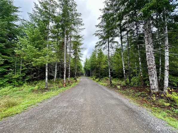 9999 Grouse Glen Way, Port Angeles, WA 98363