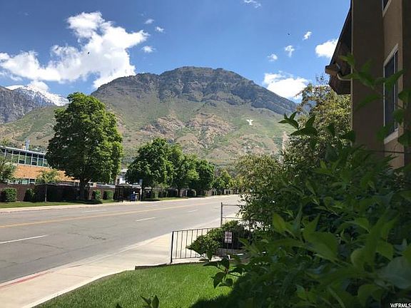 View of Y Mountain from lawn