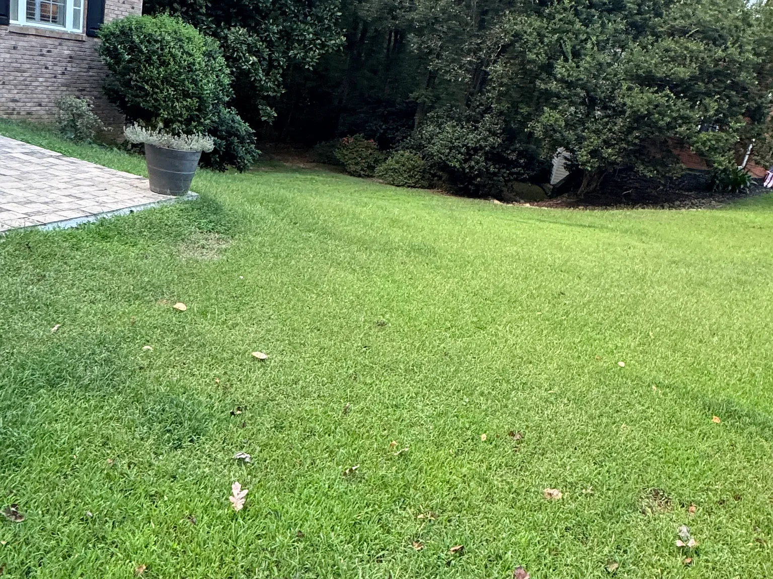 4 bed, 2.5 bath, 2222 sqft, $2,500 — Photo 4