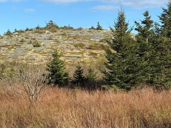 2A Menchions' Lane, Bay Roberts, NL A0A1G0