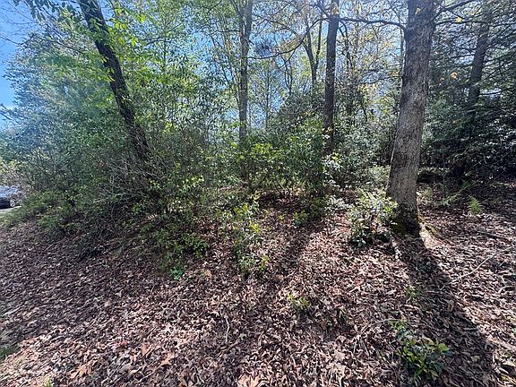 2nd image of 25 White Pine Trl