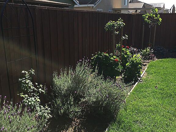 3rd image of 330 Tilden Cir