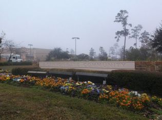 29710 Buffalo Canyon Dr, Spring, TX 77386