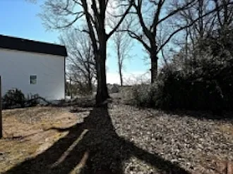 2 bed, $1,450 — Photo 4