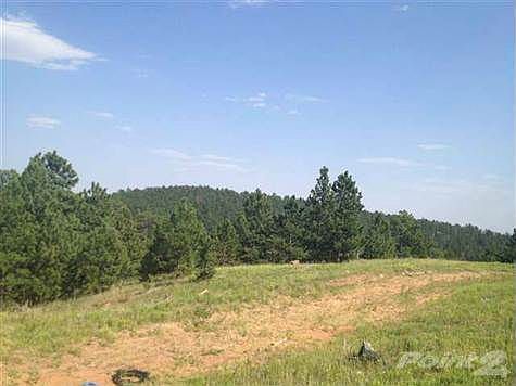 BLACKHILLS109730D[1]