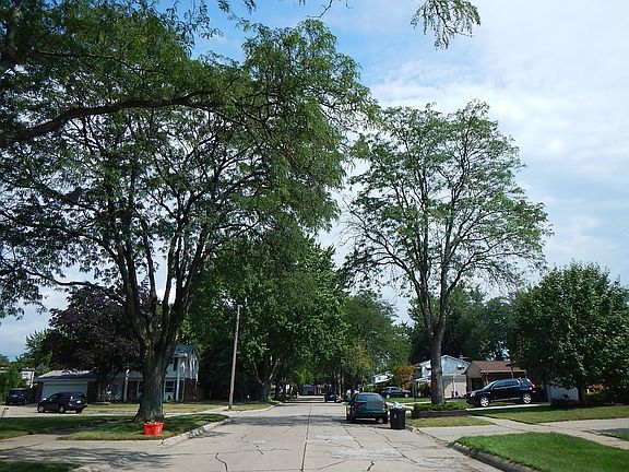 5th image of 31145 Saratoga Ave