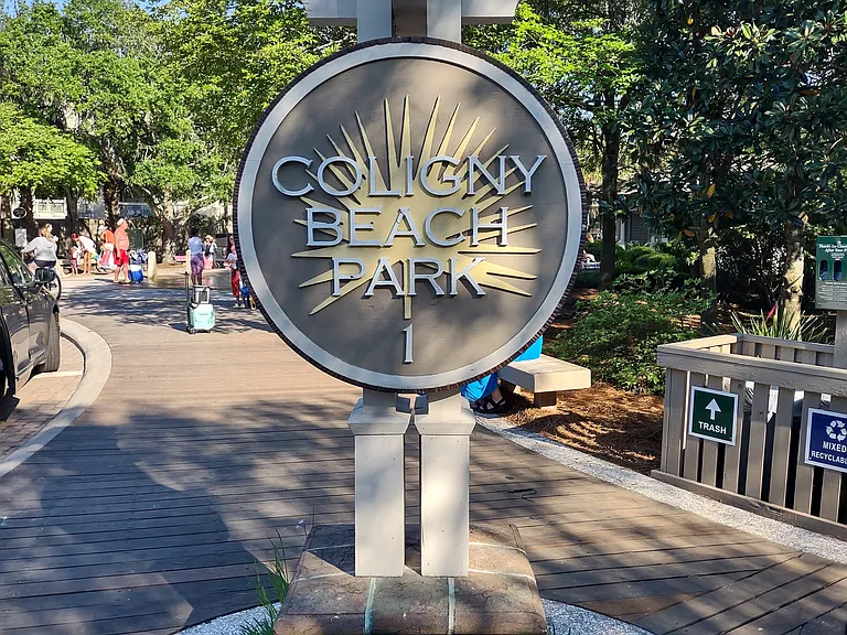 Welcome to the beach