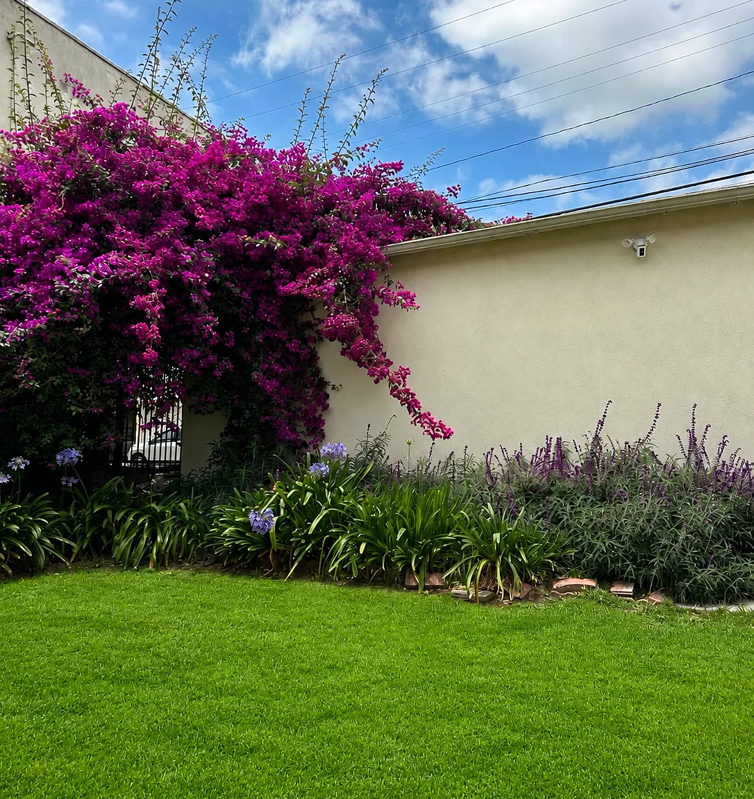 1/2 S Sherbourne Dr, Los Angeles — Photo 2