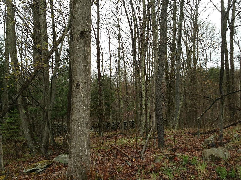2nd image of Hemlock Rd