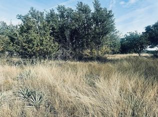 194 Willie B Dr, Brownwood, TX 76801