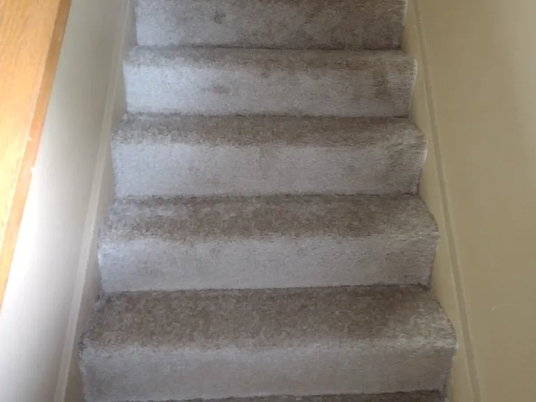 Stairs recarpeted May 2026