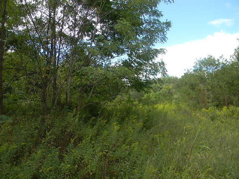 2nd image of 79 Lazy Brook Rd