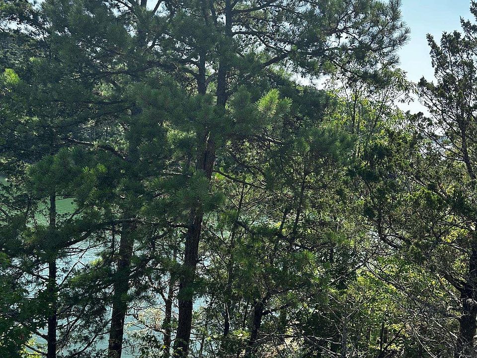 2nd image of LOT 75 Cobalt Bay Dr