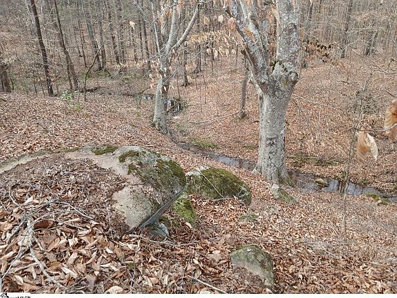 4th image of 795 Powers Rd