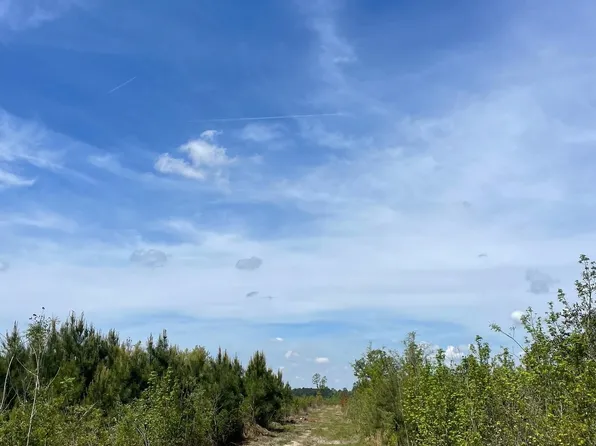 TBD 30 ac Rocky Ford Rd., Salters, SC 29590