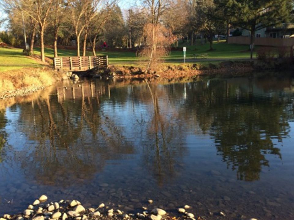 12590 SW Butner Rd, Beaverton, OR 97005 Zillow