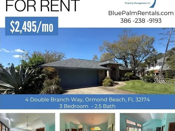 4 Double Branch Way, Ormond Beach, FL 32174