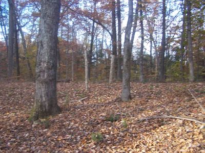 0 Howard Davidson Rd, Burkesville, KY, 42717