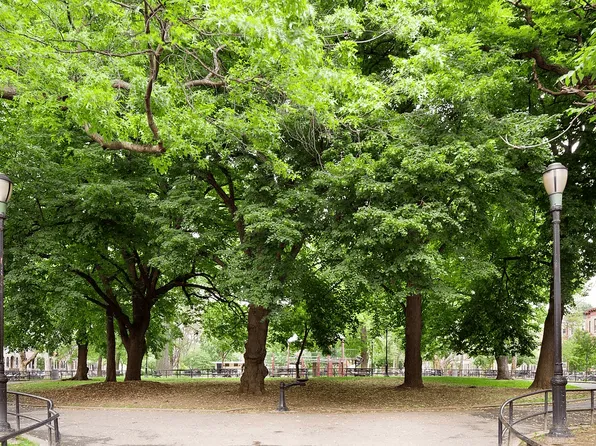 834 Halsey Street image 9 of 9