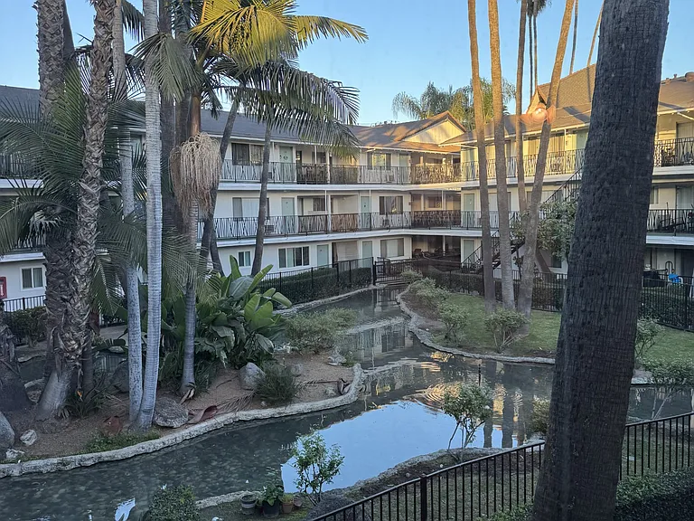 Oasis Apartments — Photo 1