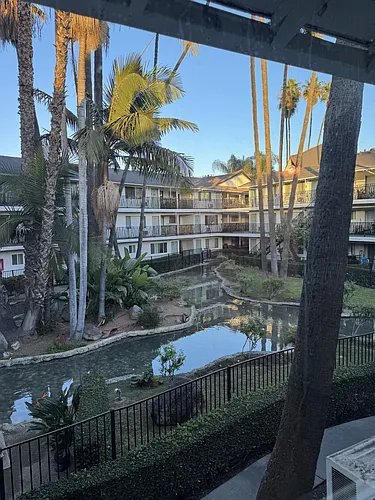 Oasis Apartments Photo 1
