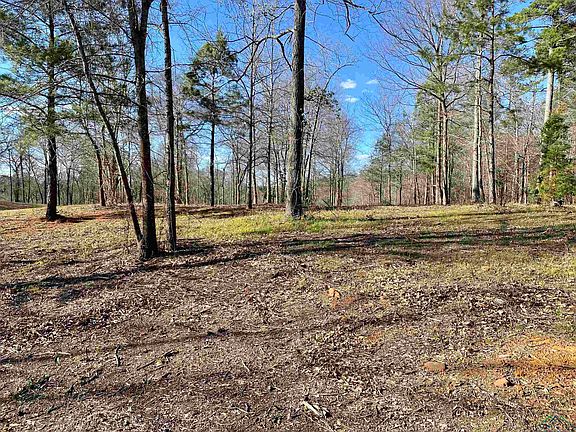 3rd image of LOT 6 Longleaf Dr