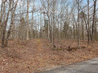 Lots 783 & 784 Smithwood Dev Key Lake Corps UNIT IV, New Concord, KY, 42076