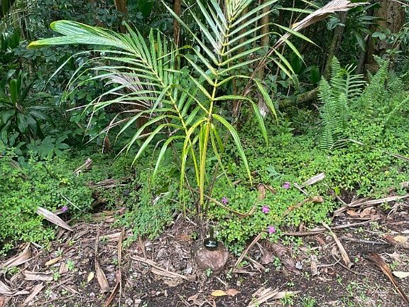 5th image of E Pohakupele Loop Lot 149