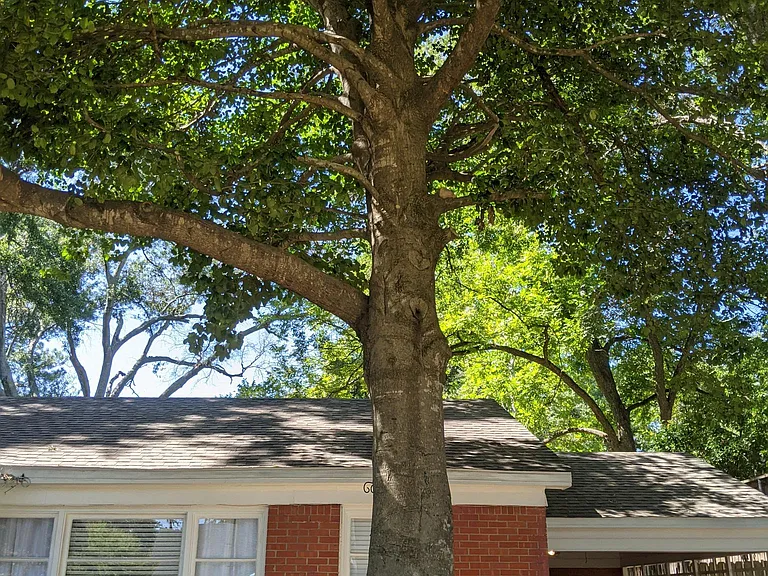 2417 S Kennedy Ave — Photo 14