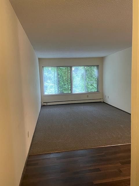 Living room overlooking the south garden area, New carpet