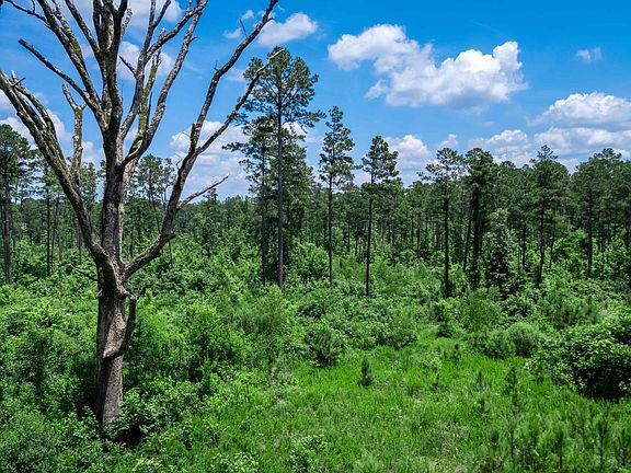 3rd image of Mathews Rd