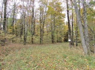 84 Echo Lake Rd, Greene, NY 13778