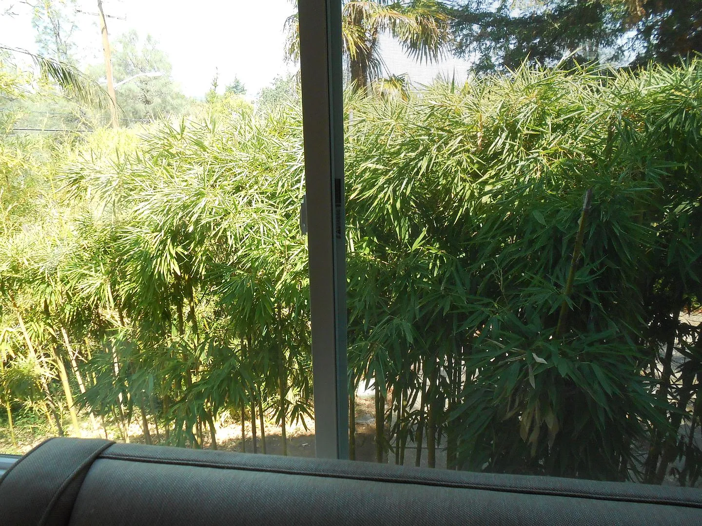 Furnished Studio - Available For Move In! — Photo 4
