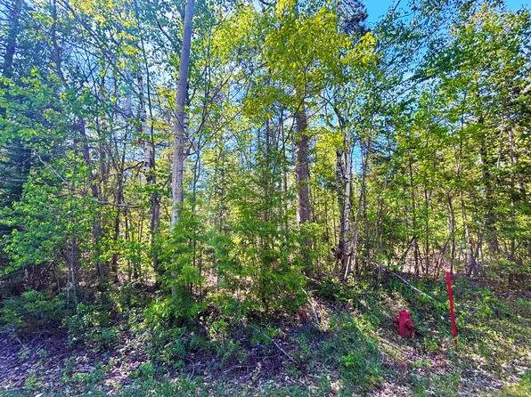 LOT 303 Gilmet Dr, Presque Isle, MI 49777