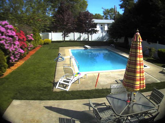 Backyard1
