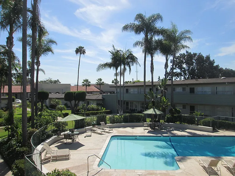 The Palms — Photo 4