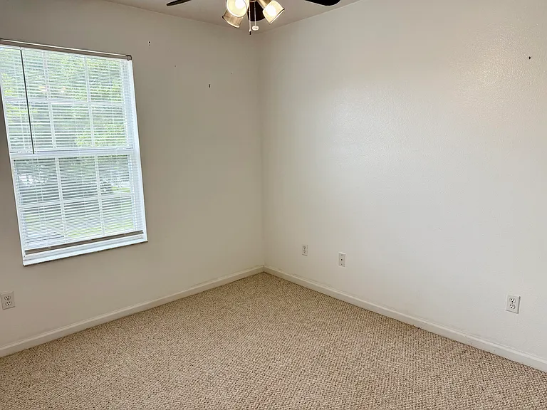 9113 Oak Fern Dr — Photo 11