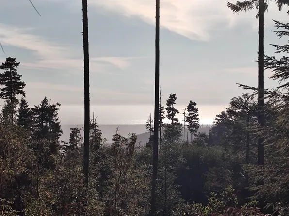 0 Low Divide Rd, Crescent City, CA 95531