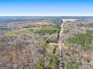 0 Hampton Locust Grove Rd, Hampton, GA 30228