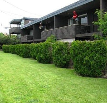 2nd image of 22612 6th Ave S APT 13