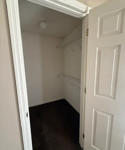 204 Christa Ln — Photo 10