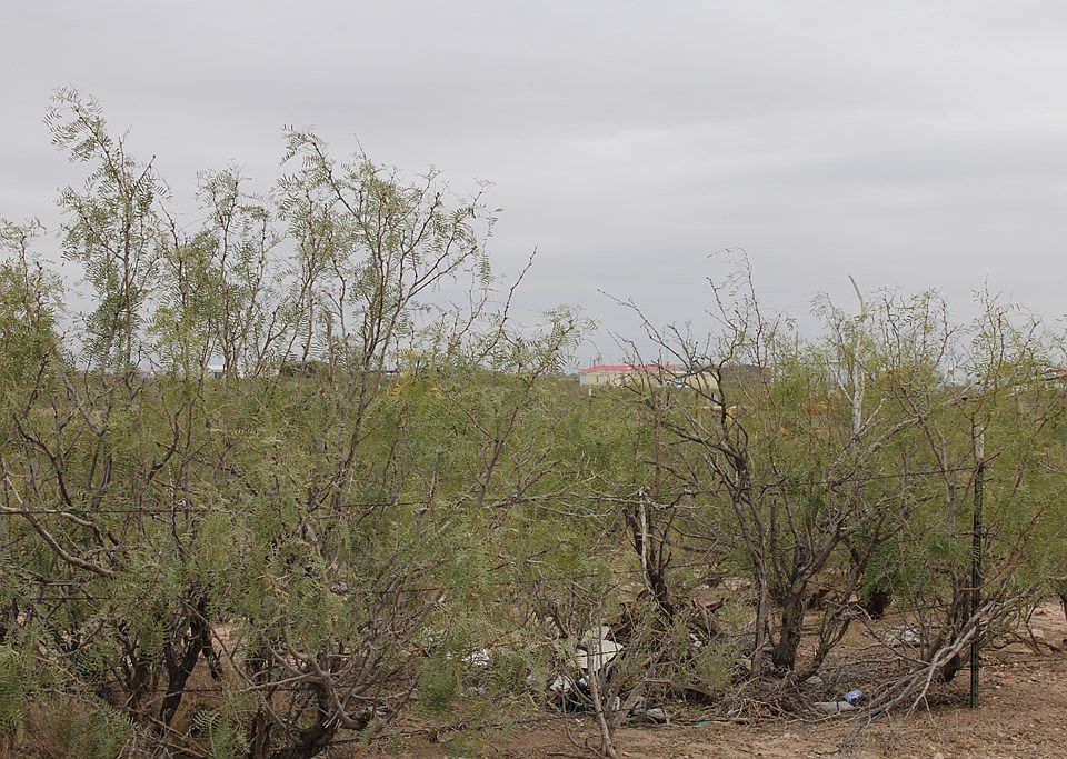 2nd image of 0 Fm 866