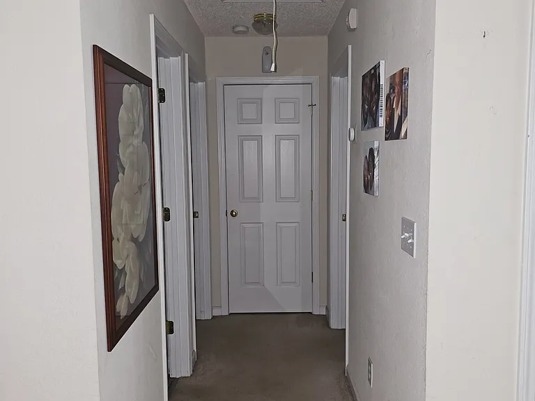 109 Hardwood Dr — Photo 9