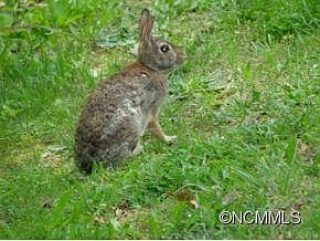 5th image of Valley Dr