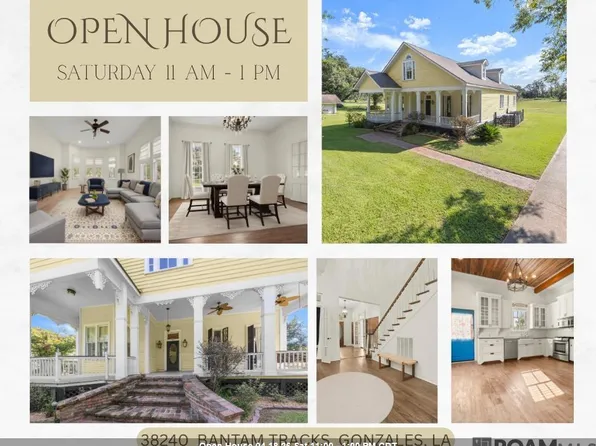 38240 Bantam Tracks Rd, Gonzales, LA 70737