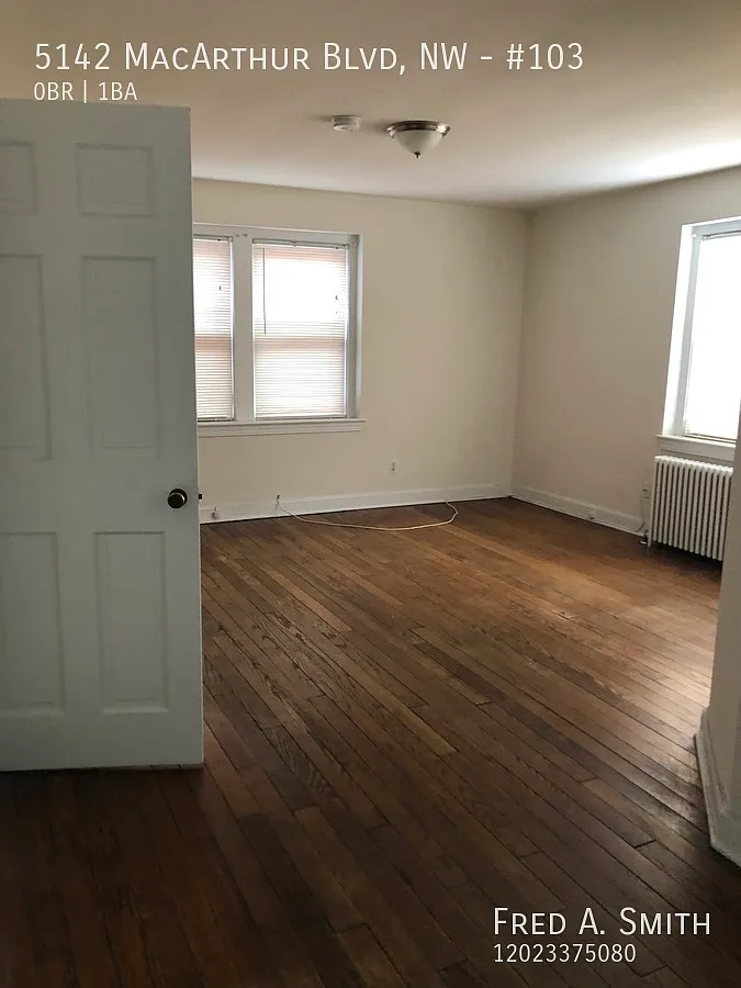 Great Studio Apartment in Palisades! — Photo 2