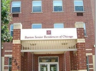 1245 S Wood St APT 326, Chicago, IL 60608