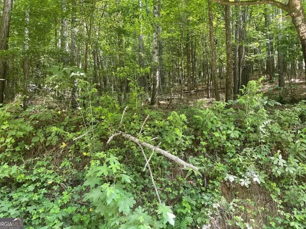 0 Damascus Rd, Ranger, GA 30734